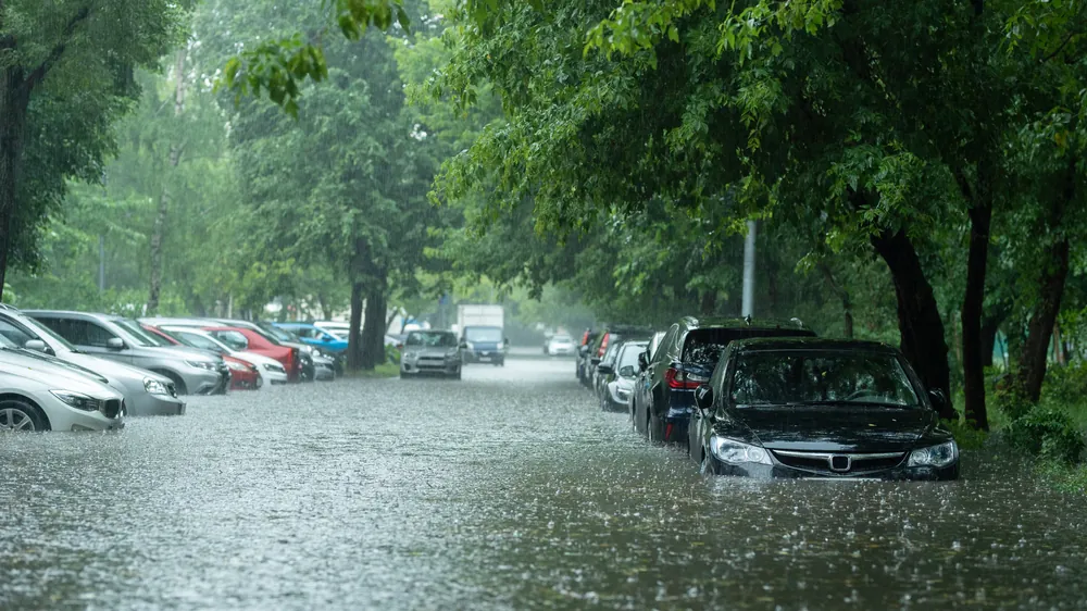 Freight During A Natural Disaster