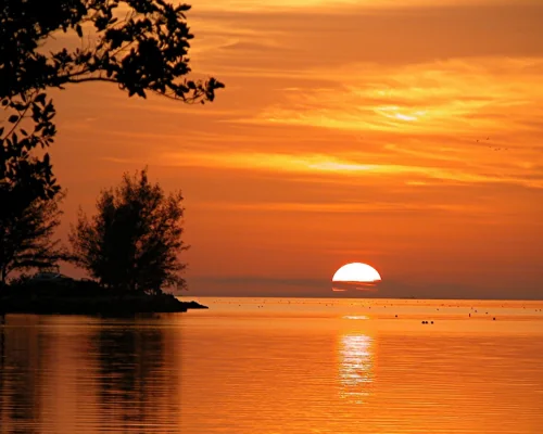 florida sunset at state park