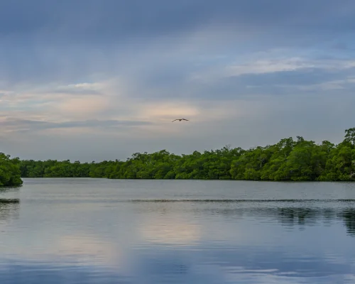 ten thousand islands