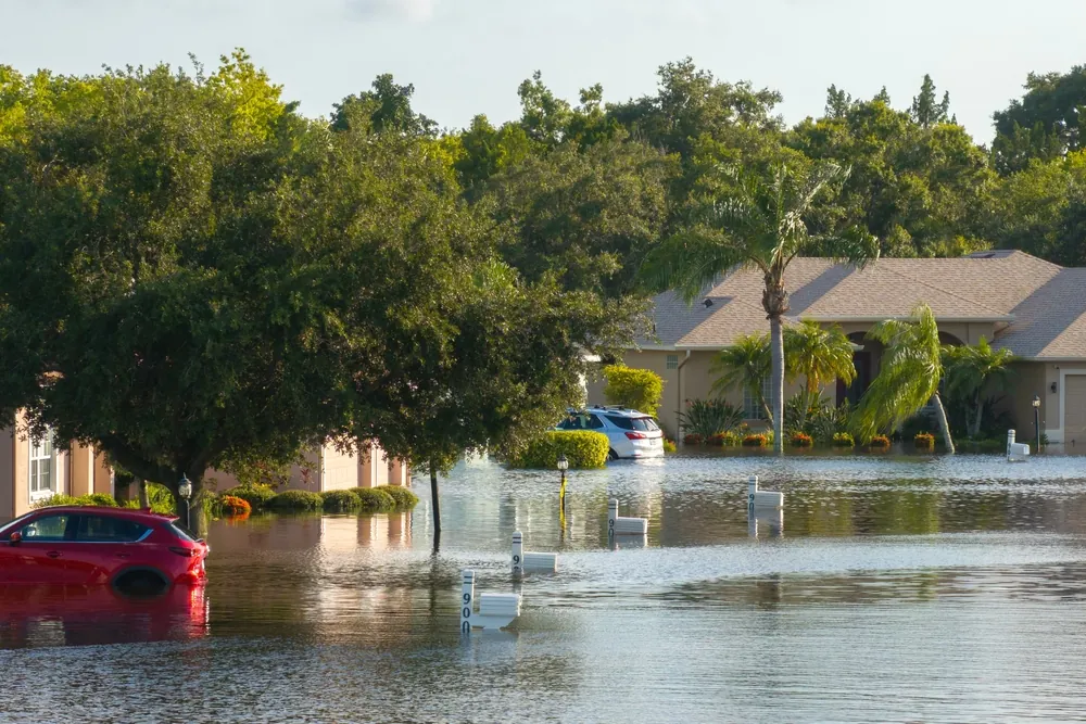 aftermath of a hurricane