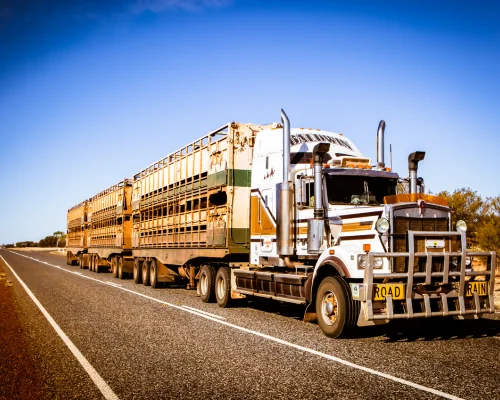 road train