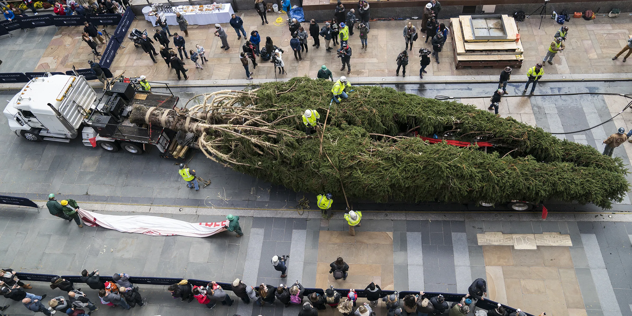 Rockefeller Christmas Tree Gets Shipped