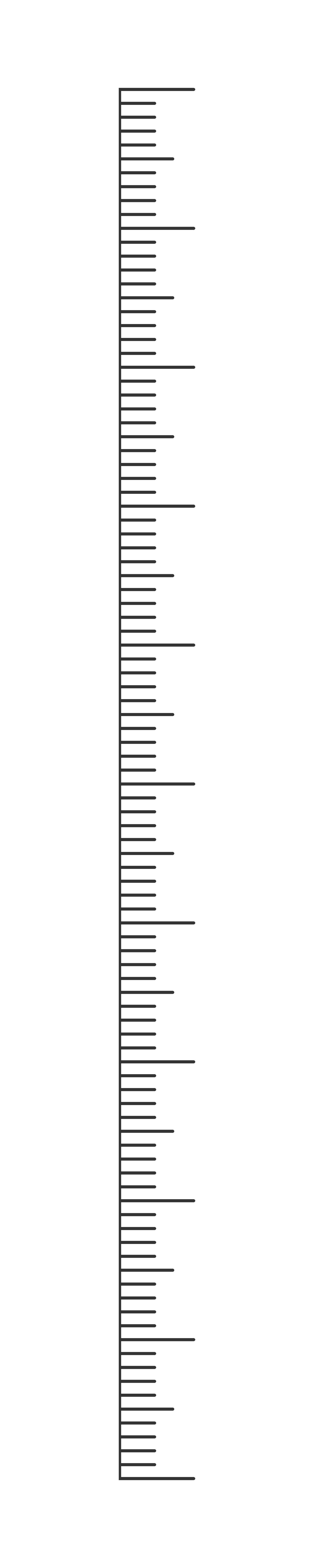 vertical ruler