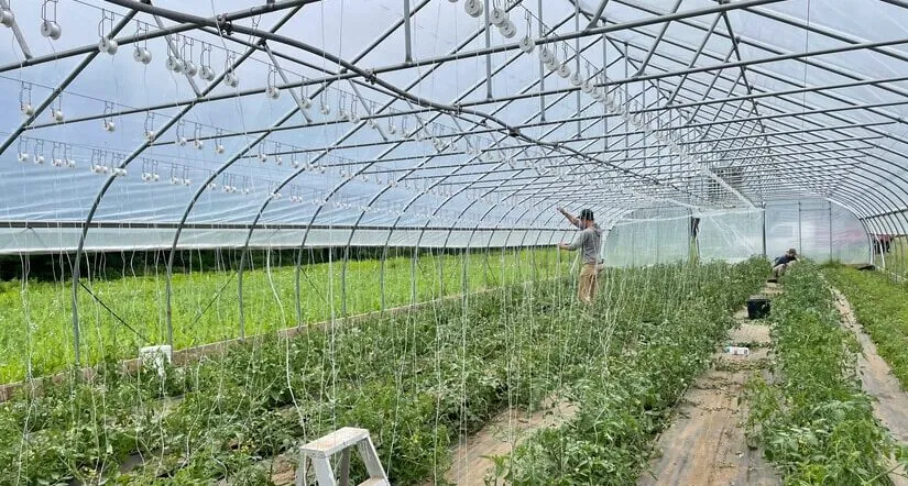 man cultivating a small garden on campus