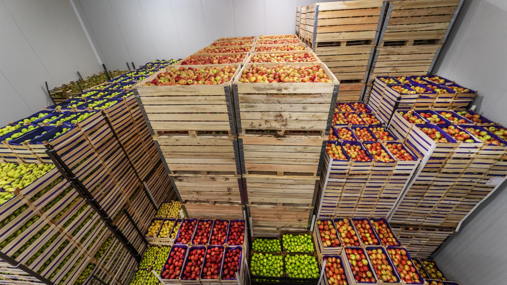 Cold Chain Logistics pallets of apples stacked on top of one another