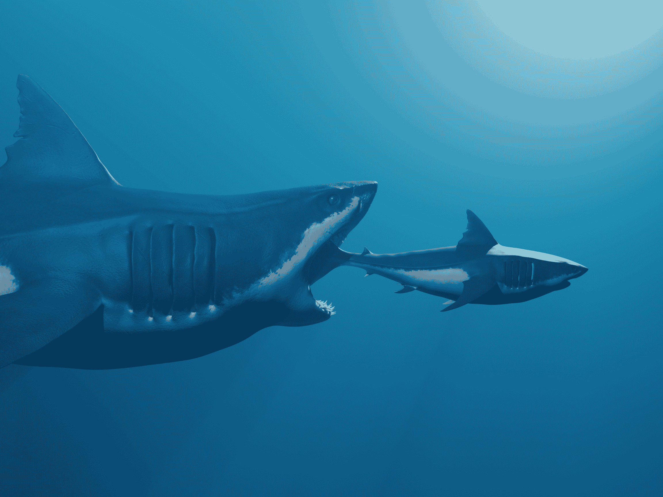 a big shark about to eat a smaller shark 