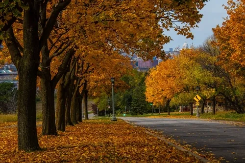 St. Paul roads during fall