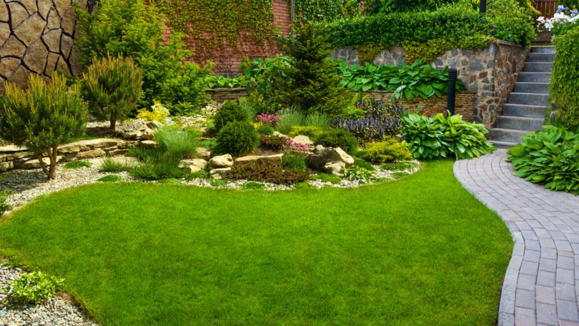 lush green front yard with pants