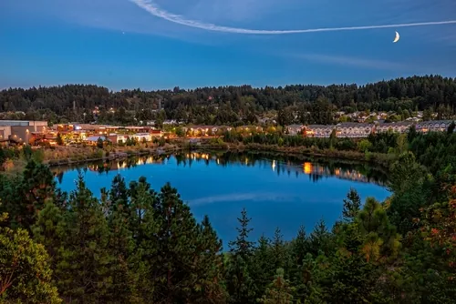 A Beaverton Lake at night