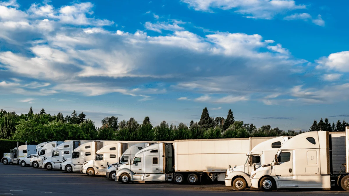 Dedicated Fleet Services white semi trucks lined up by row during the morning