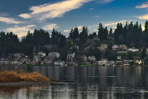 view of lake Washington shoreline