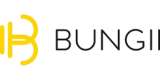 bungii logo