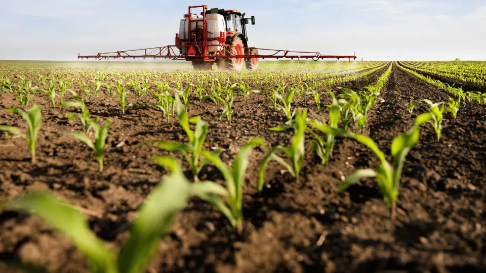 Shipping Agricultural Machinery farmer driving sprayer spraying chemical pesticides on plants on sunny day