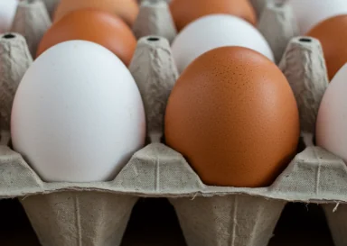 Why is shipping eggs so difficult lately?